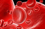 Blood Cells