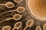 Male Infertility